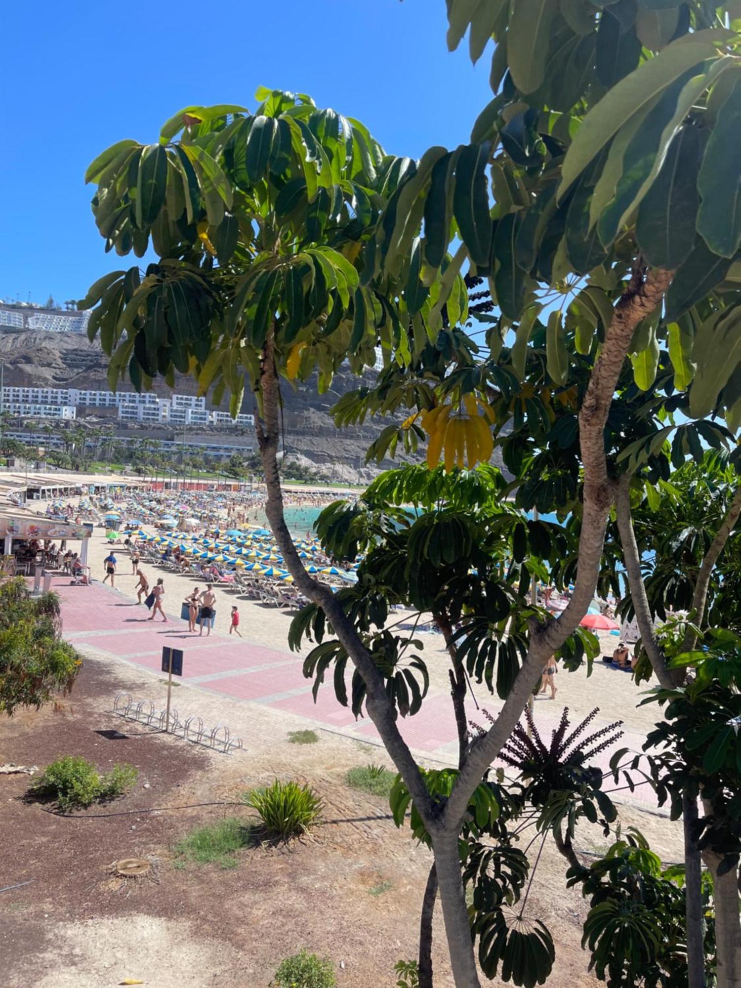 Puerto Rico New 2 Bedroom Apart Екстер'єр фото